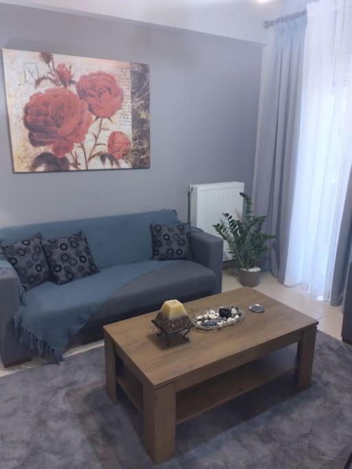 Χαίρε, Ξεΐνε, Παρ' Αμμι Φιλησεαι Appartement Tríkala Buitenkant foto